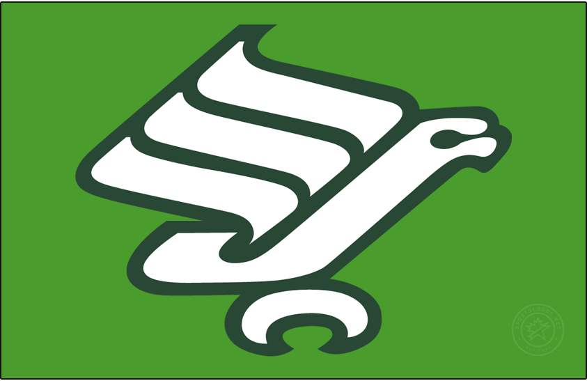 North Texas Mean Green 1973-1983 Primary Dark Logo diy DTF decal sticker